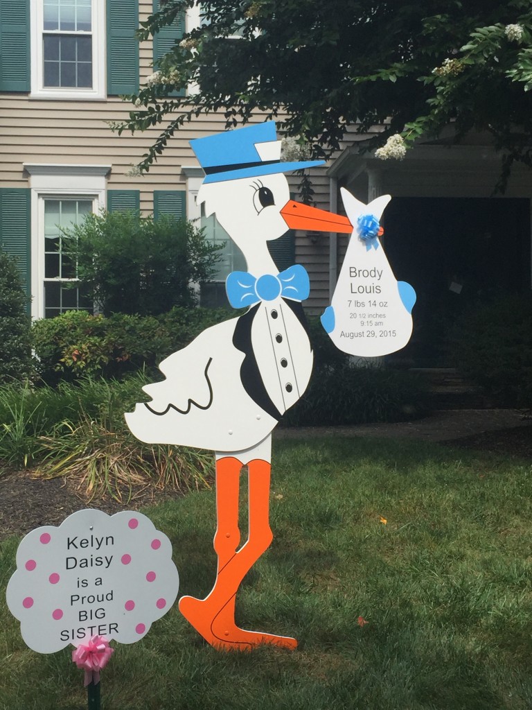 Potomac, MD Stork Sign Lawn Greeting~Flying Storks~(301) 606-3091
