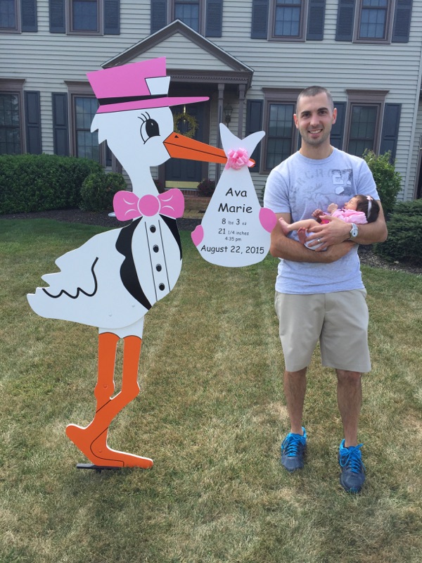 Pink Stork Yard Sign~You Stole My Heart from the Start