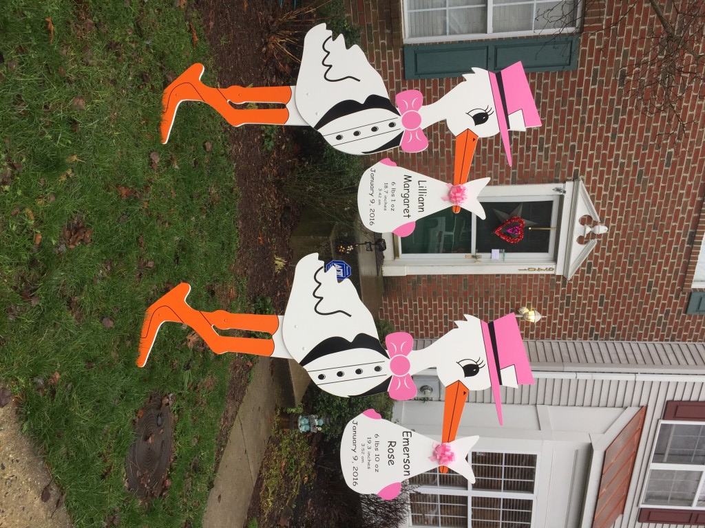 Twin Stork Lawn Signs~Ticked Pink!<br />  Flying Storks<br />  Urbana, Maryland<br />  (301-606-3091