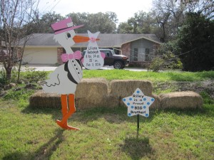 Germantown & Frederick, MD~ Stork Sign Yard Birth Announcement