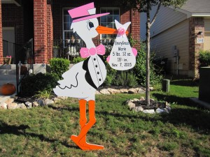 Pink Stork Sign Birth Announcement Rental Bethesda, MD Flying Storks (301) 606-3091