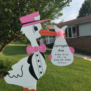 Stork Sign Lawn Birth Announcement Brunswick, MD Flying Storks (301) 606-3091
