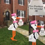 Bethesda MD Stork Sign Rental Flying Storks (301) 606-3091