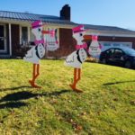 Hagerstown Twin Pink Yard Stork Signs<br/> Flying Storks<br/> (301) 606-3091