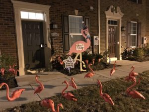 Flamingo Yard Signs in Maryland and Northern Virginia