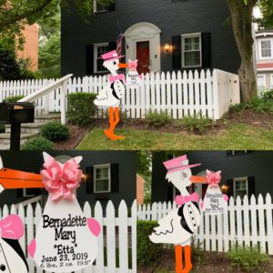 Pink Flying Stork Yard Sign Rental
